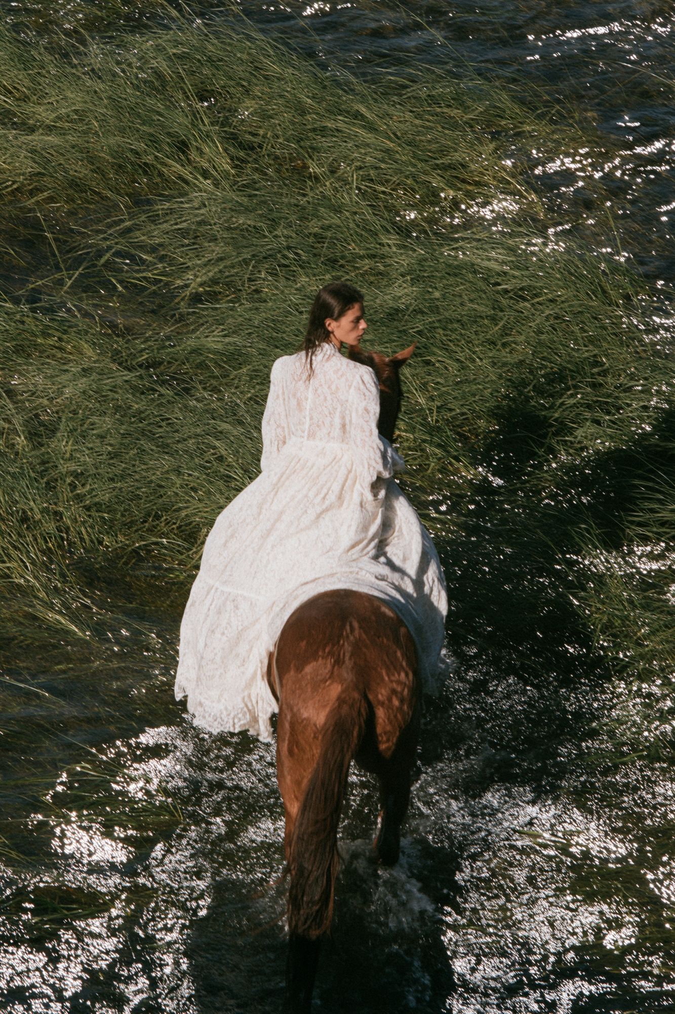 Horseback Rider in Marshland Poster. poster — photography art