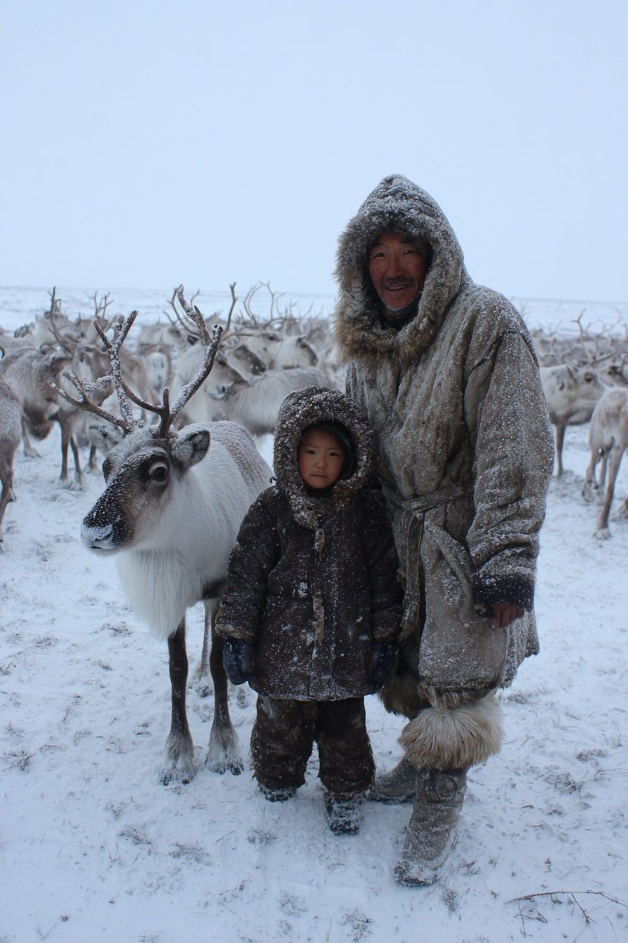 Winter Reindeer Portrait Poster. poster detail