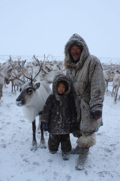 Winter Reindeer Portrait Poster. poster print