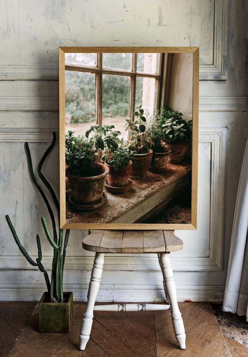 Potted Herbs by Window Photography Poster. room preview