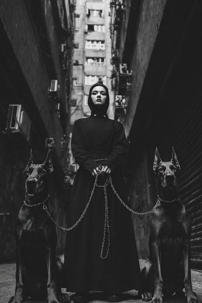 Gothic Woman with Great Danes Poster. poster print