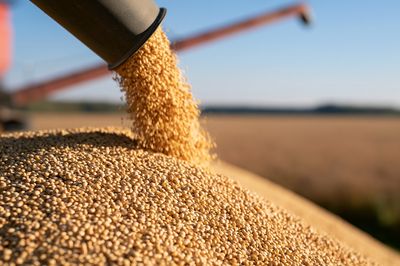 Harvest Grain Pour Photography Poster. poster