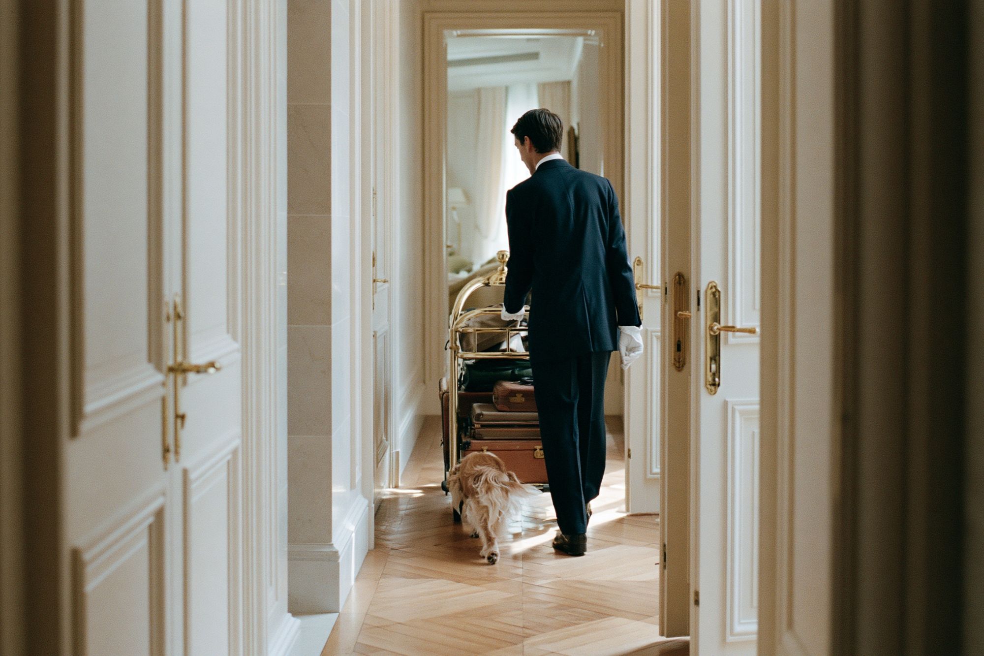 Elegant Hotel Hallway Photography Poster. poster detail