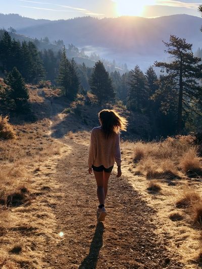 Sunlit Mountain Hike Photography Poster. poster