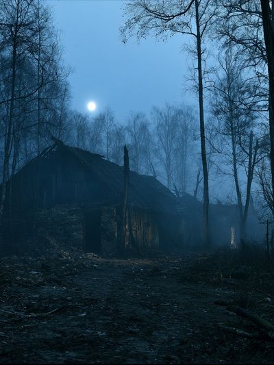 Moonlit Forest Cabin Photography Poster. poster
