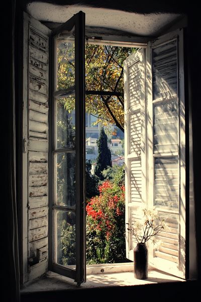 Sunlit Window Garden Photography Poster. poster