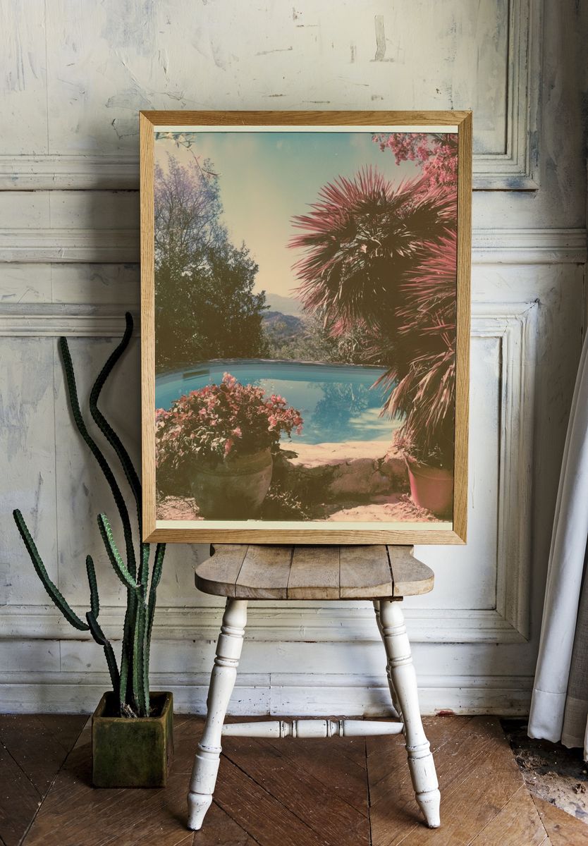 Mediterranean Pool Garden Photography Poster. room preview