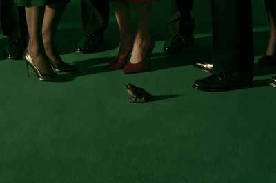 Surreal Frog Crowd Photography Poster. poster