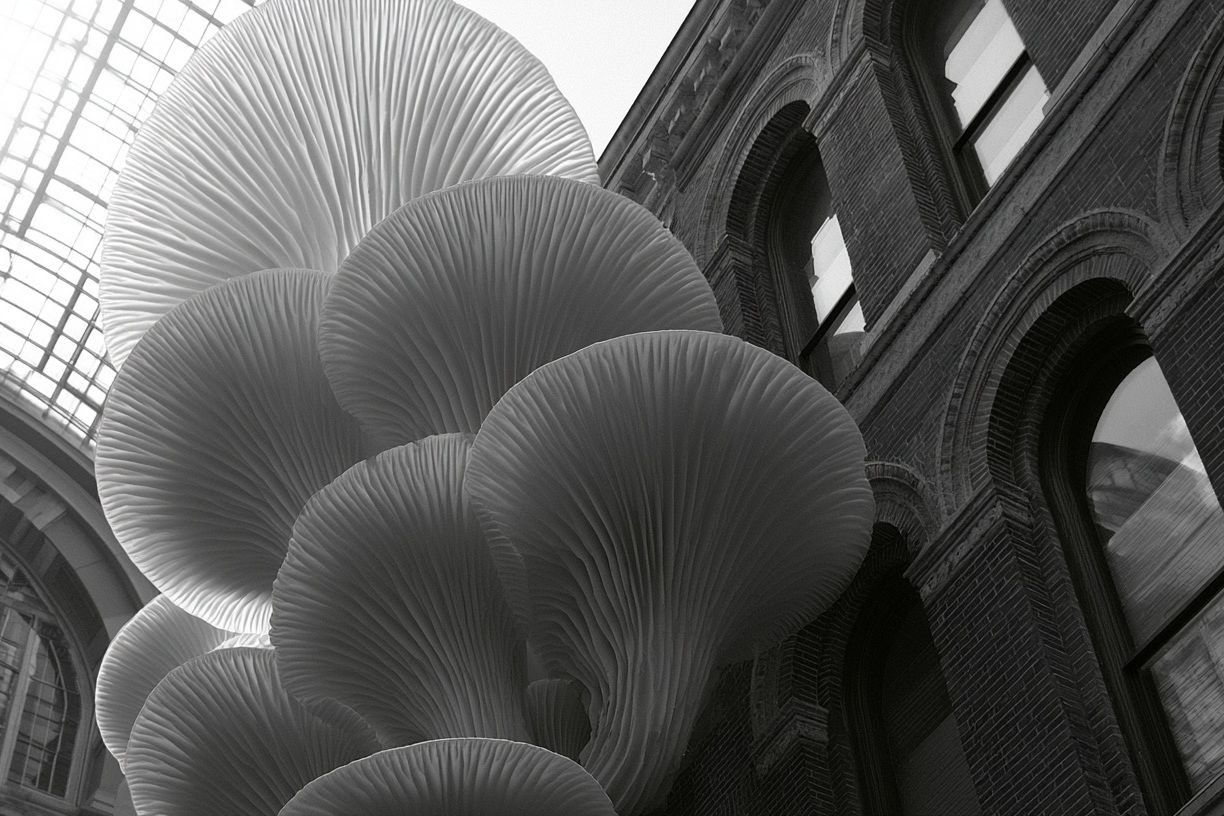Urban Mushroom Sculpture Photography Poster. poster — photography art