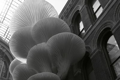 Urban Mushroom Sculpture Photography Poster. poster