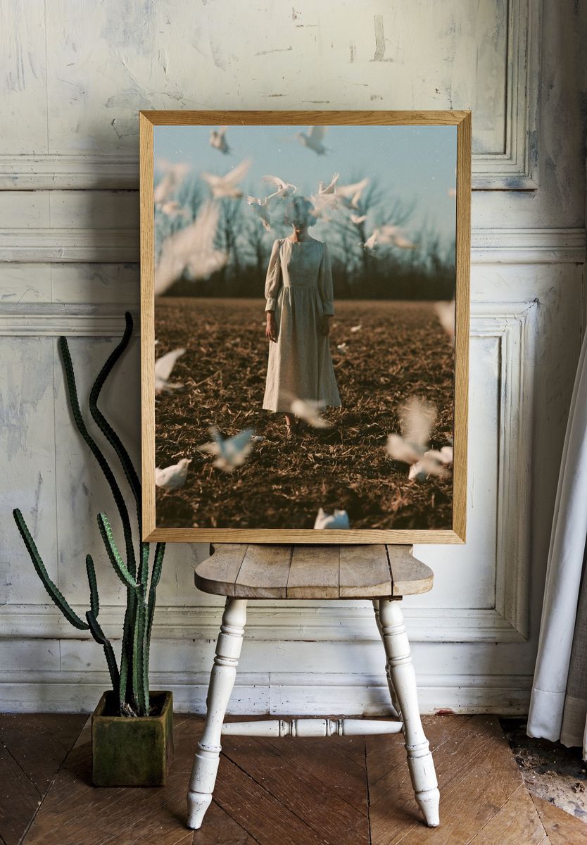 Dreamlike Dove Field Photography Poster. room preview