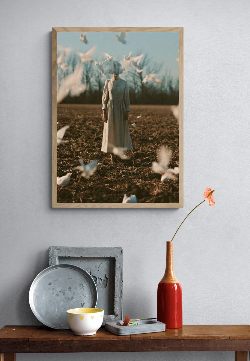 Dreamlike Dove Field Photography Poster. — room view 3