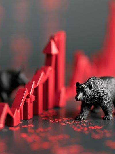 Bear Market Crash Photography Poster.