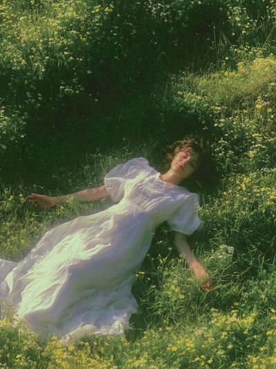 Meadow Dream Portrait Poster. poster