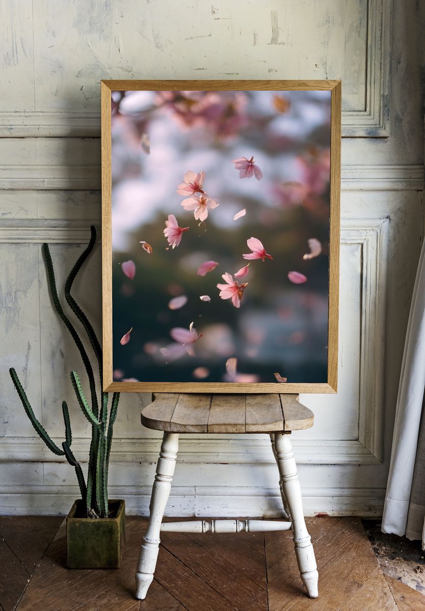 Cherry Blossom Drift Photography Poster. — room view 1
