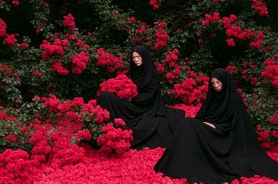 Black Veil in Rose Garden Poster. poster