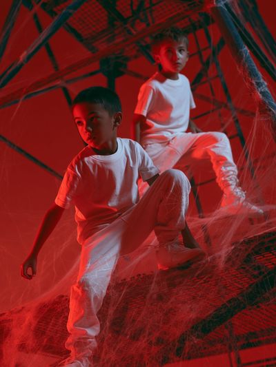 Red Web Staircase Portrait Print.