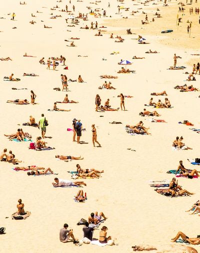 Bondi Beach, Australia. poster print