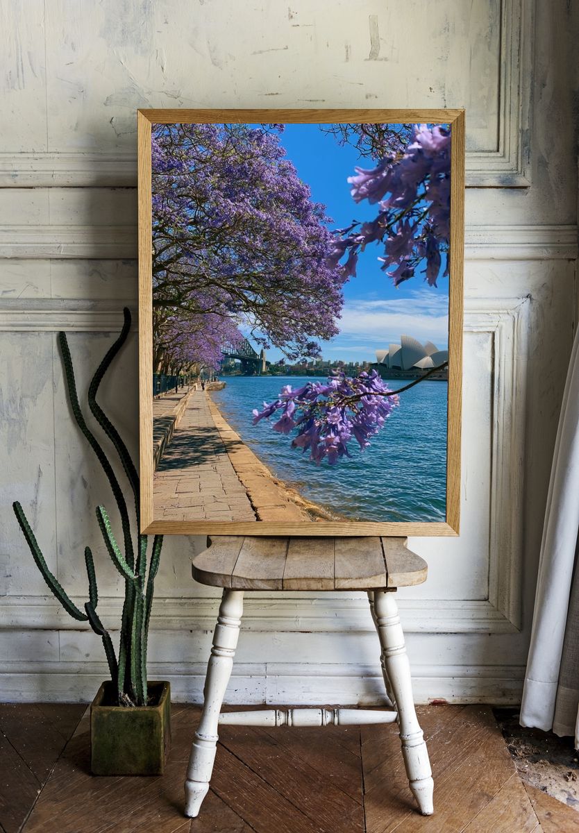 Sydney Harbour Jacaranda Print. — room view 1