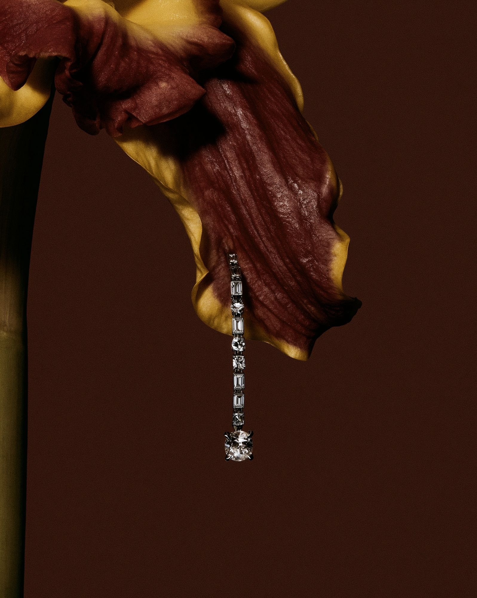 Abstract Floral Jewel Poster. poster — photography art