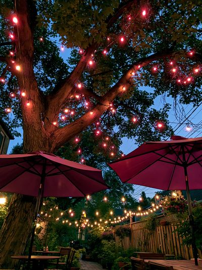 Twilight Garden String Lights Poster. poster print