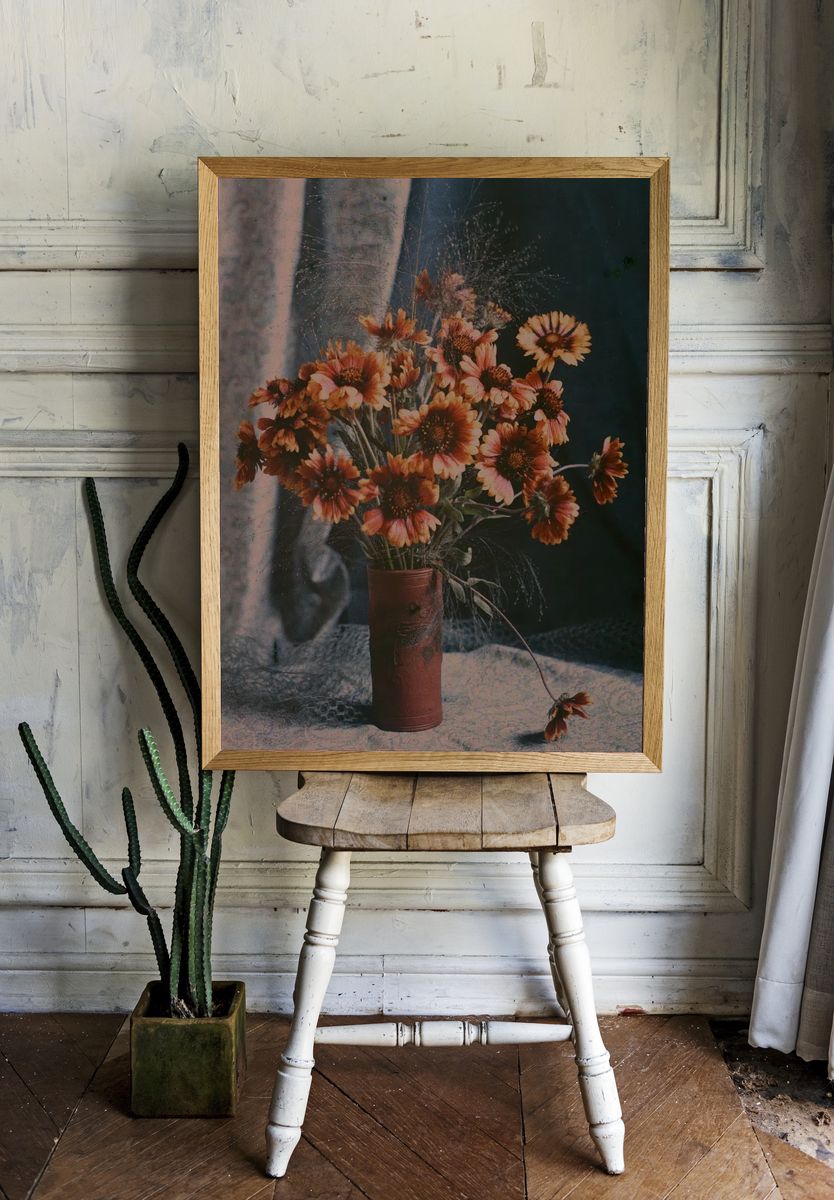 Gaillardias by Robert Walrond (1918) — Art Print room preview
