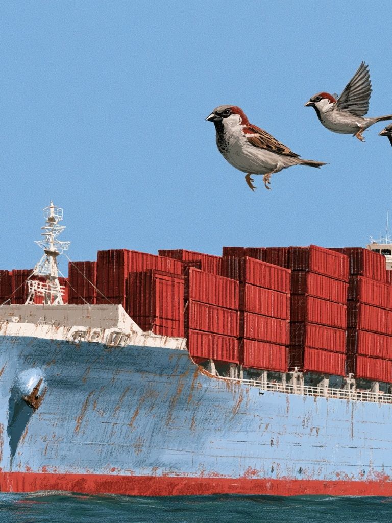 Cargo Ship and Sparrows Photography Poster. poster detail