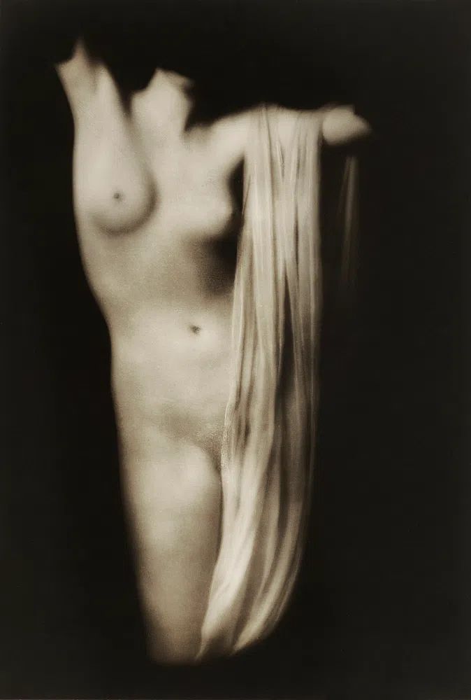 Female nude photography, Modern Torso. poster detail