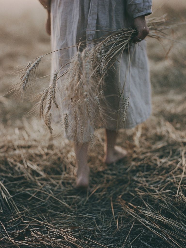 Harvest Field Photography Print. poster — photography art