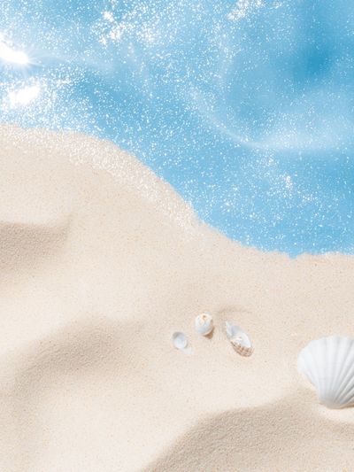 Seaside Shells Photography Poster.