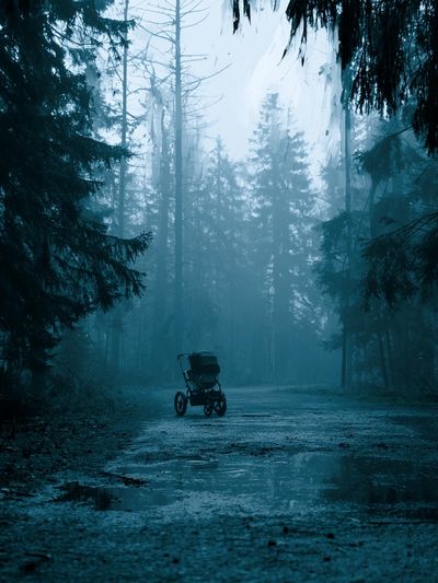 Misty Forest Path Photography Poster.
