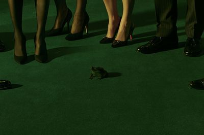 Frog and Formal Shoes Photography Poster.