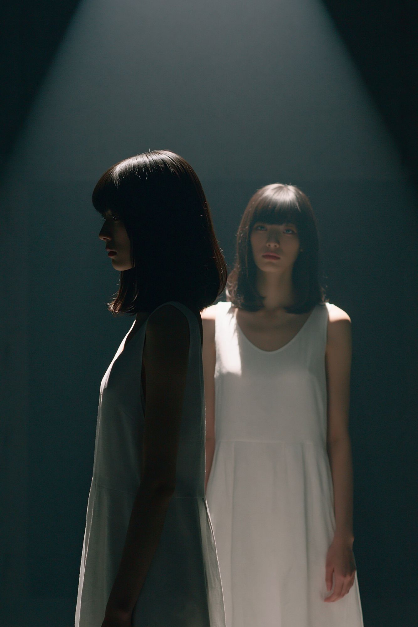 Twin Portrait in Spotlight Poster. poster detail