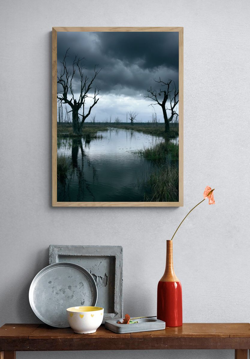 Stormy Wetland Trees Photography Poster. — room view 3
