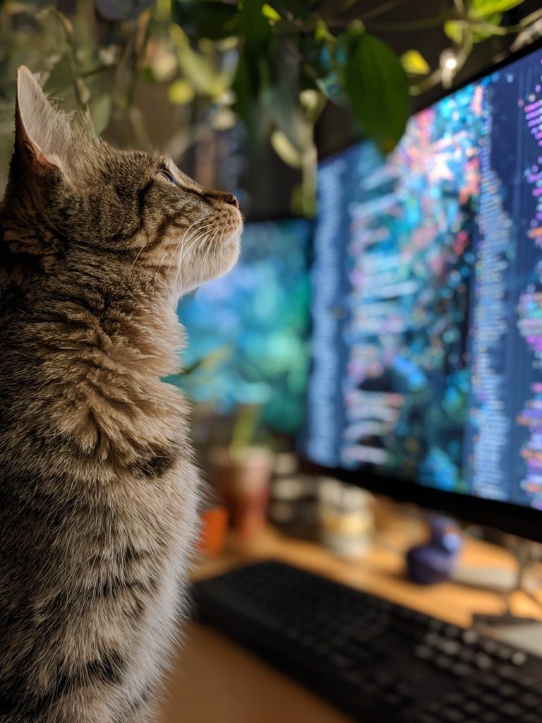 Tabby Cat at Computer Photography Poster. poster — photography art