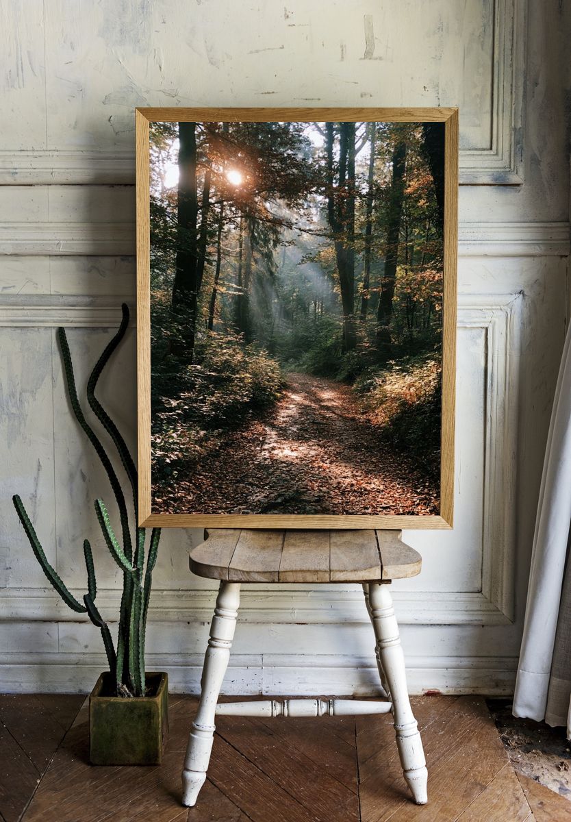 Sunlit Forest Path Photography Poster. — room view 1
