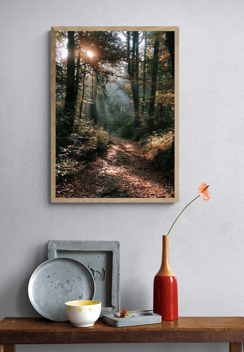 Sunlit Forest Path Photography Poster. — room view 3