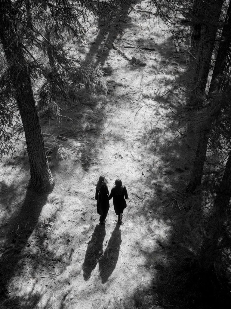Forest Walk Black-White Poster. poster detail