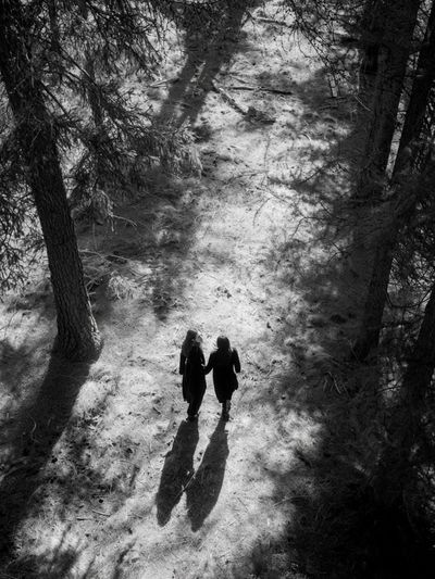 Forest Walk Black-White Poster.