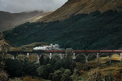 Train Glenfinnan Viaduct, Scotland. poster print