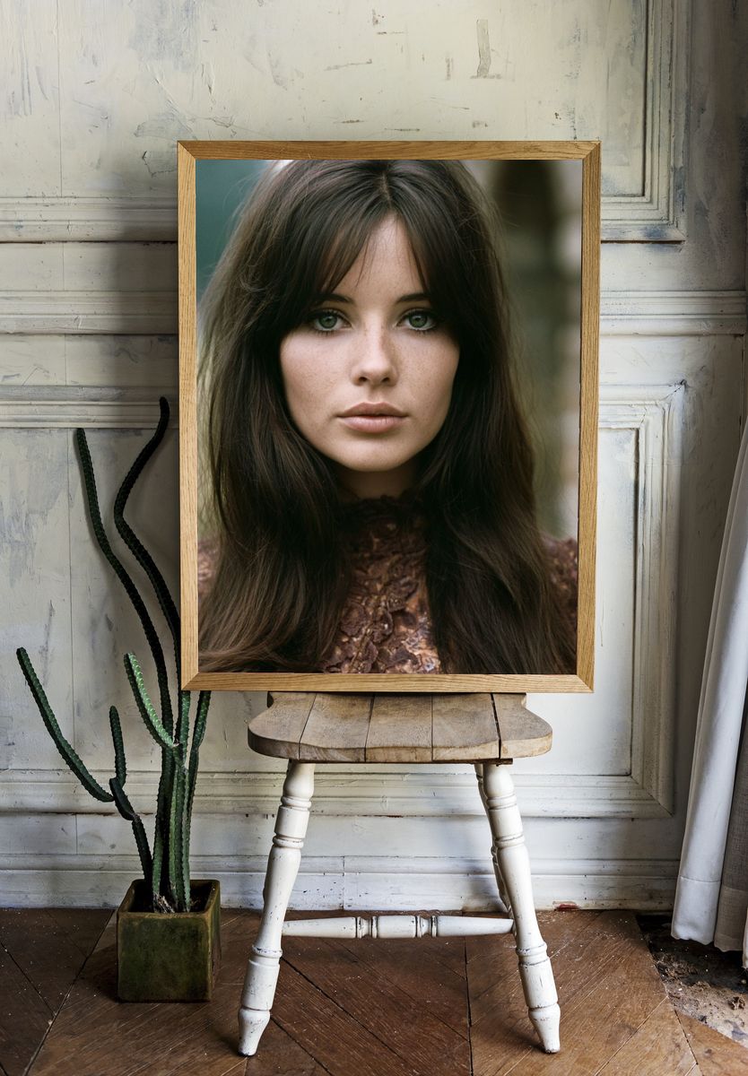 Portrait Photography Poster. room preview