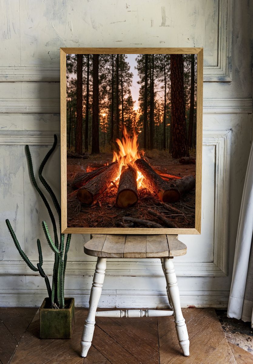 Forest Campfire Photography Poster. — room view 1