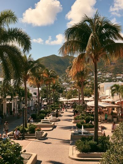 Palm Promenade Photography Poster.
