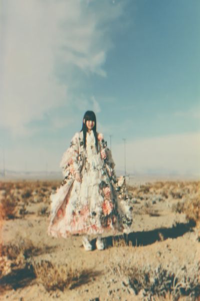 Desert Fashion Portrait Poster. poster