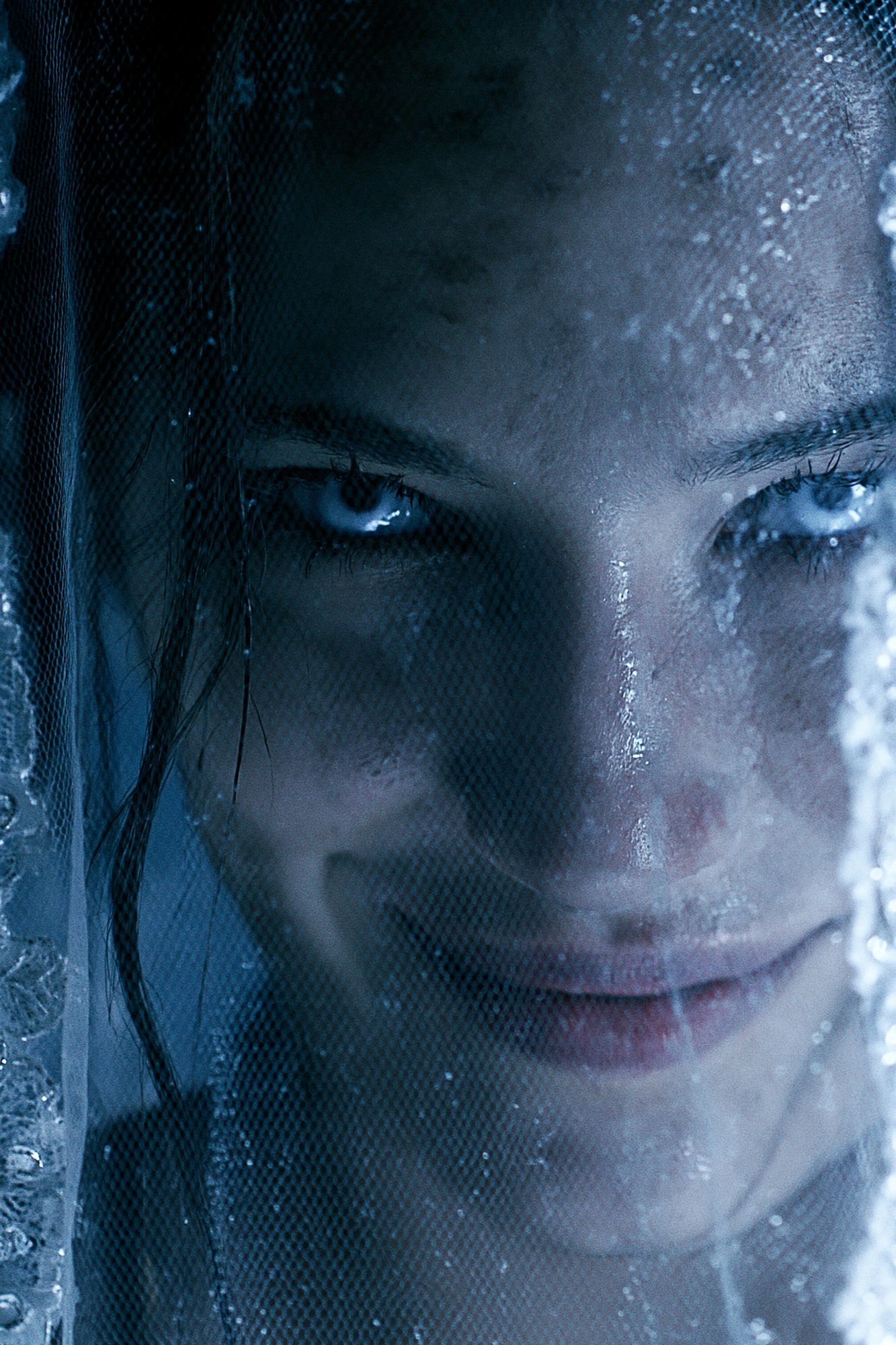 Icy Veil Portrait Print. poster detail