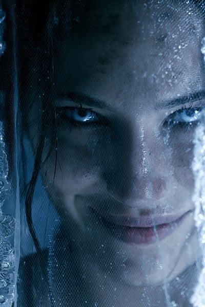 Icy Veil Portrait Print. poster