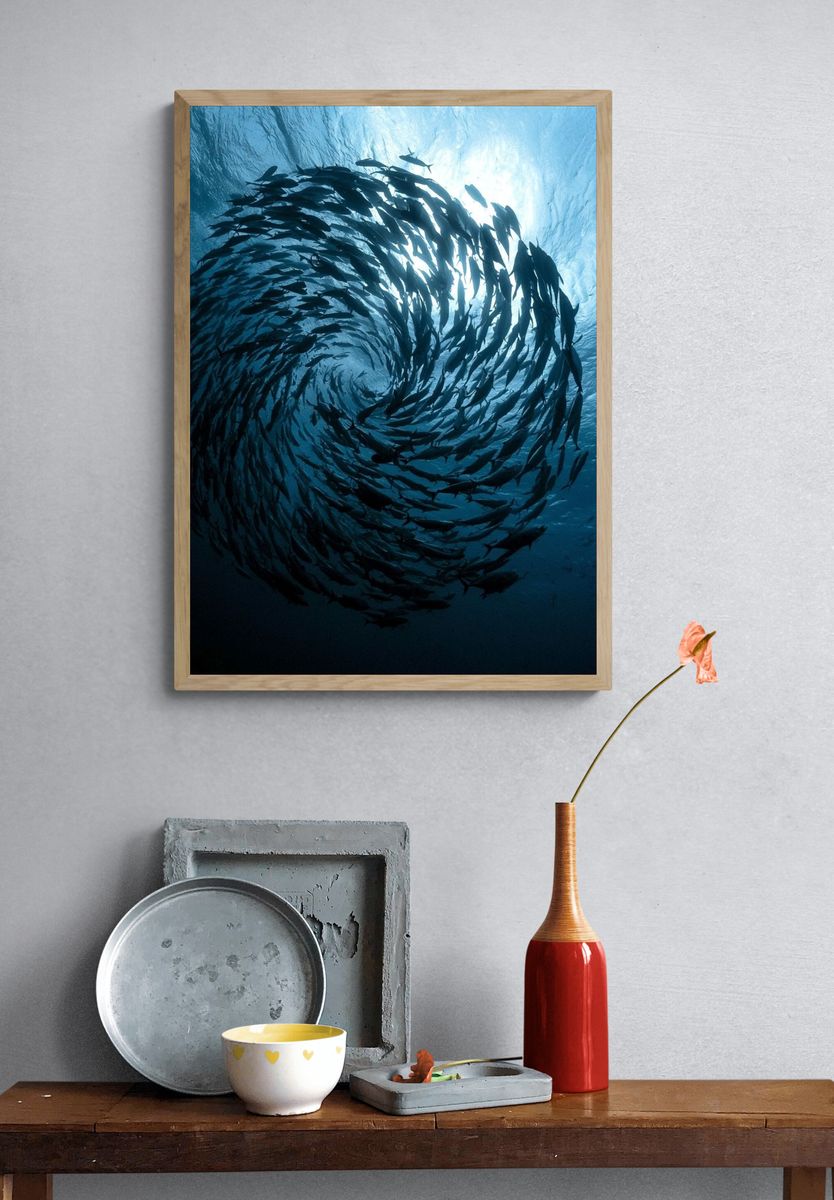 Swirling Fish School Photography Poster. — room view 3