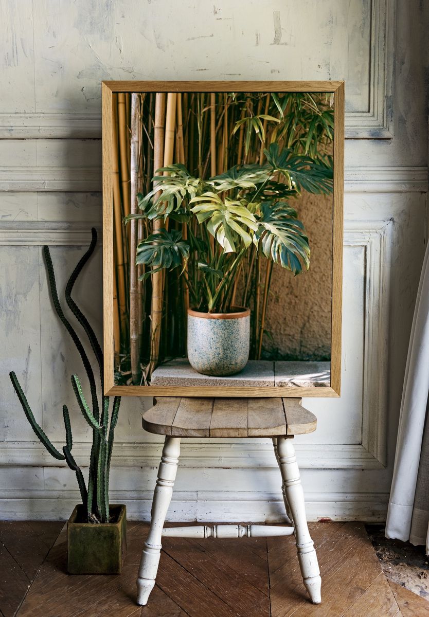 Tropical Potted Monstera Photography Poster. — room view 1