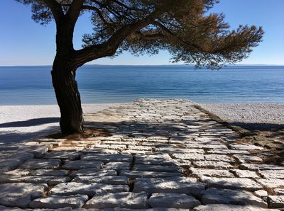Seaside Stone Path Photography Poster.