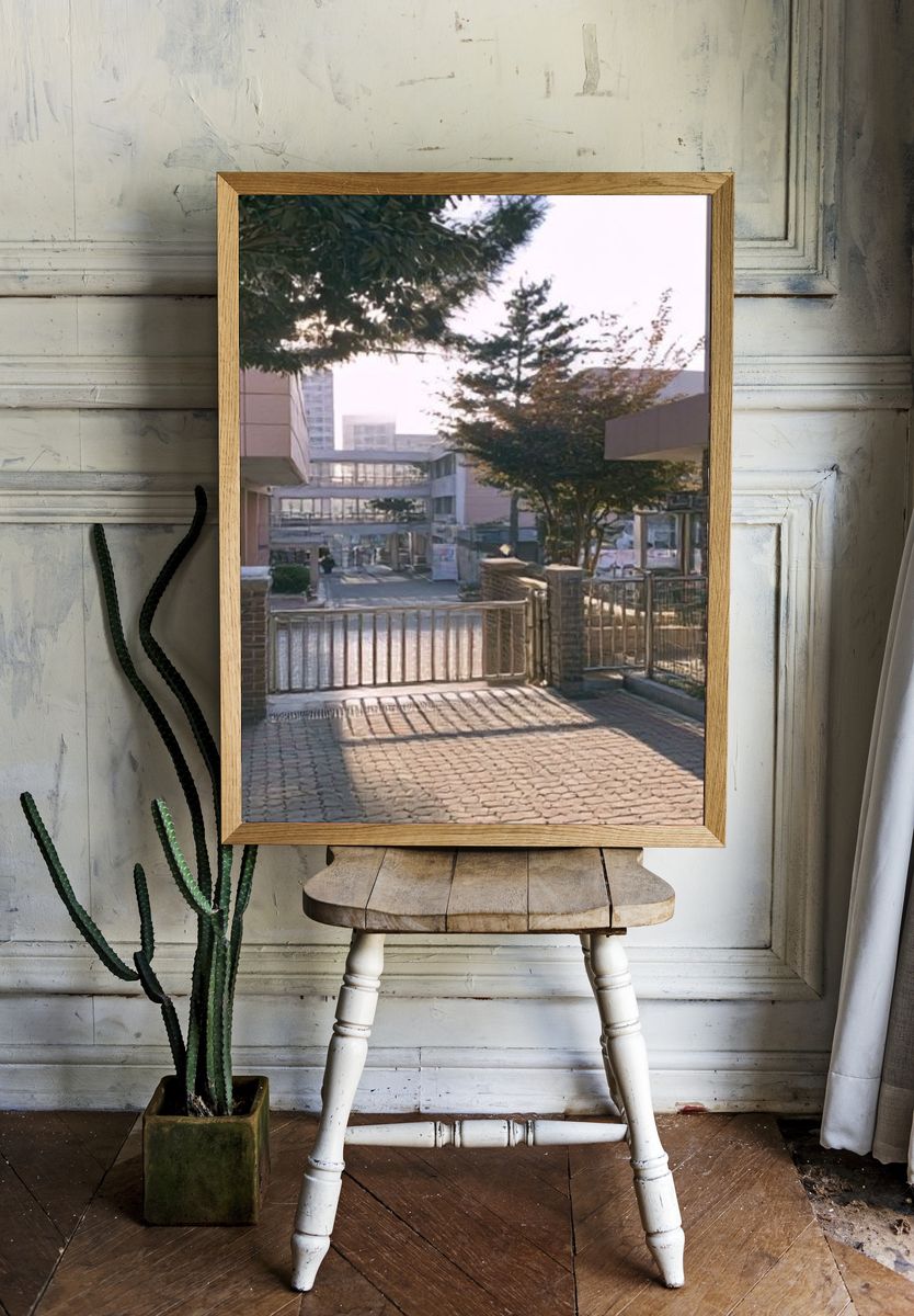 Sunlit Courtyard Gate Photography Poster. — room view 1